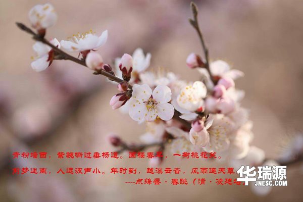 达尔文：迷茫的时候做这两件事，决定你将来2年的样子