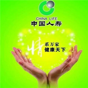 国寿汽车保险代理步骤