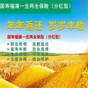 国寿汽车保险加盟详细介绍